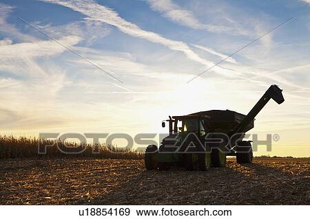 Stock Photo - USA, Iowa, Latimer, Combine harvester harvesting corn. Fotosearch
