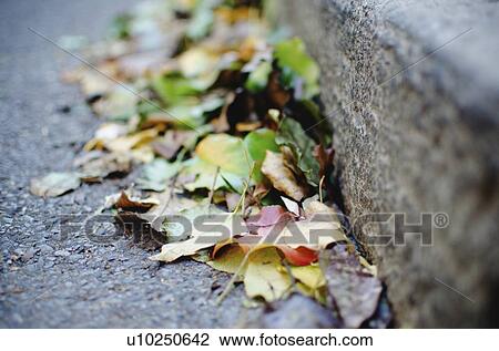 Stock Image - USA, New York State, New York City, Fall leaves on street. Fotosearch