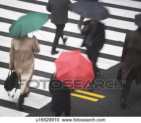Stock Image - USA, New York state, New York city, pedestrians with umbrellas on zebra crossing . Fotosearch