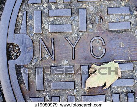 Stock Photo - USA, New York State, New York City, Manhole and Fall leaf. Fotosearch