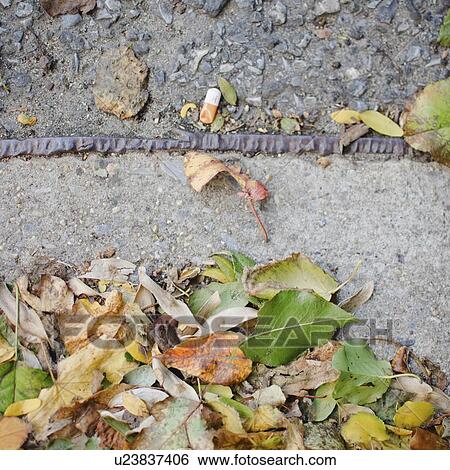 USA, New York State, New York City, Fall leaves on street View Large Photo Image Stock Photograph - USA, New York State, New York City, Fall leaves on street. Fotosearch