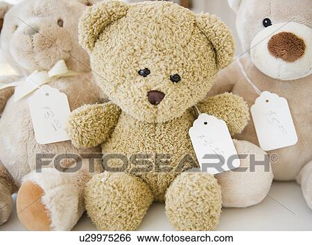 USA, New York State, New York City, Teddy bears View Large Photo Image Stock Photograph - USA, New York State, New York City, Teddy bears. Fotosearch