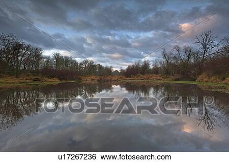 USA, Oregon, Marion County, Trees and clouds reflecting in lake View Large Photo Image Stock Photograph - USA, Oregon, Marion County, Trees and clouds reflecting in lake. Fotosearch