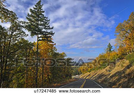 USA, Oregon, Polk County, Country road View Large Photo Image Stock Photography - USA, Oregon, Polk County, Country road. Fotosearch