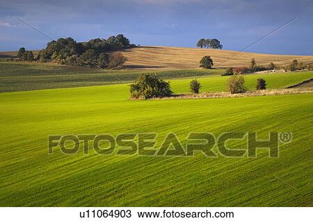 USA, Oregon, Polk County, View of green hills View Large Photo Image Stock Image - USA, Oregon, Polk County, View of green hills. Fotosearch