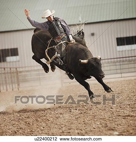 USA, Utah, Highland, Bull rider during rodeo View Large Photo Image Stock Image - USA, Utah, Highland, Bull rider during rodeo. Fotosearch