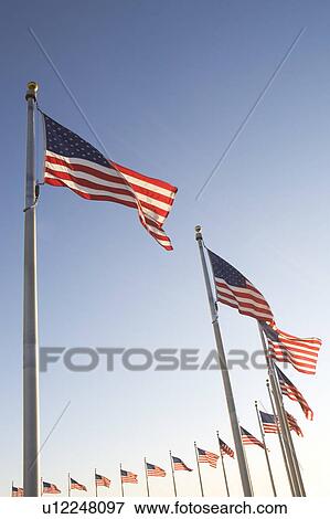 USA, Washington DC, low angle view on american flags View Large Photo Image Stock Photo - USA, Washington DC, low angle view on american flags. Fotosearch