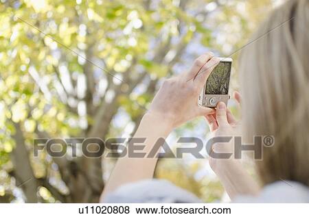 Stock Photo - Woman photographing tree with cell phone. Fotosearch