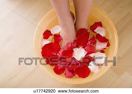 Stock Image - Woman soaking feet in water with rose petals. Fotosearch