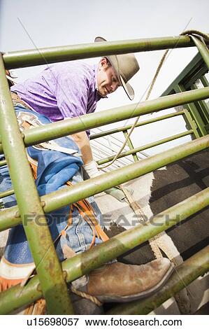 Young cowboy preparing for rodeo View Large Photo Image Stock Photo - Young cowboy preparing for rodeo. Fotosearch