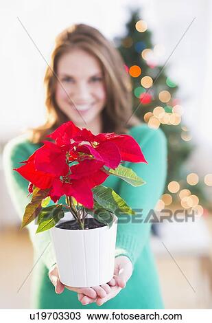 Stock Image - Young woman with red poinsettia. Fotosearch