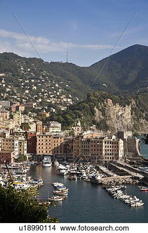 Picture - Aerial view of coastline village. Fotosearch