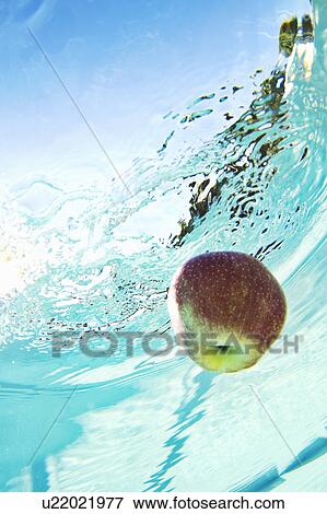 Apple floating in swimming pool View Large Photo Image Stock Photo - Apple floating in swimming pool. Fotosearch