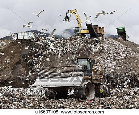 Birds circling garbage collection center View Large Photo Image Stock Photography - Birds circling garbage collection center. Fotosearch