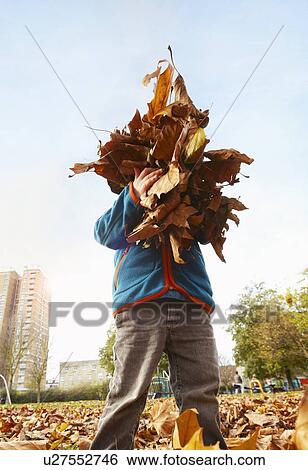Stock Photograph - Boy playing with autumn leaves. Fotosearch