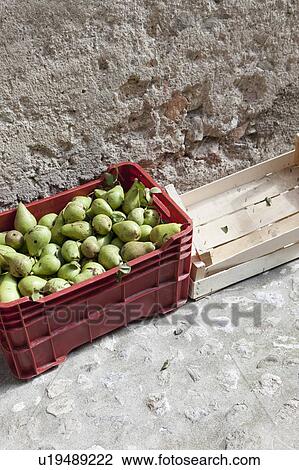 Stock Image - Bucket of pears in alleyway. Fotosearch