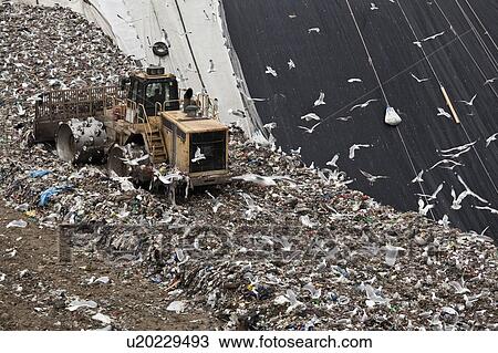 Stock Image - Bulldozer at garbage collection center. Fotosearch