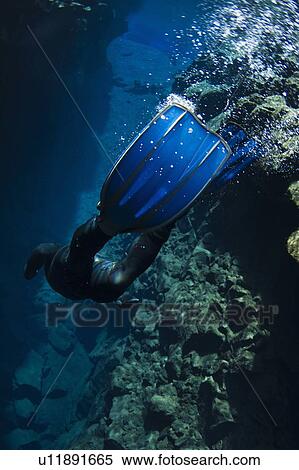 Close up of divers fins underwater View Large Photo Image Stock Photography - Close up of divers fins underwater. Fotosearch