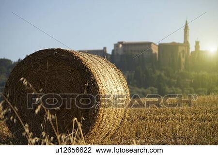 Close up of haybale in crop field View Large Photo Image Stock Image - Close up of haybale in crop field. Fotosearch