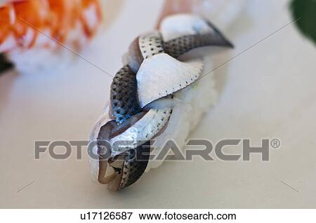 Close up of ornate sushi View Large Photo Image Stock Photo - Close up of ornate sushi. Fotosearch