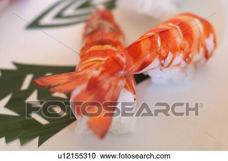 Close up of prawn sushi View Large Photo Image Stock Image - Close up of prawn sushi. Fotosearch