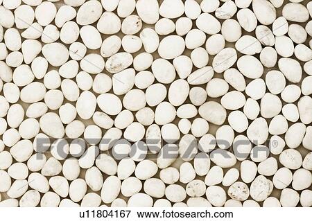 Close up of white pebbles View Large Photo Image Stock Photo - Close up of white pebbles. Fotosearch