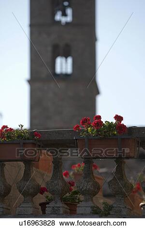 Flower boxes on ornate railing View Large Photo Image Stock Photo - Flower boxes on ornate railing. Fotosearch