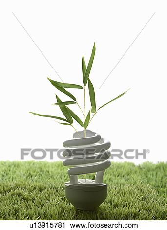 Fluorescent light bulb in grass View Large Photo Image Stock Image - Fluorescent light bulb in grass. Fotosearch