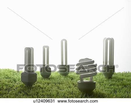 Fluorescent light bulbs in grass View Large Photo Image Stock Image - Fluorescent light bulbs in grass. Fotosearch