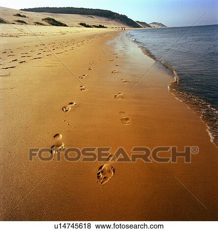 Footprints in sand on beach View Large Photo Image Stock Photo - Footprints in sand on beach. Fotosearch