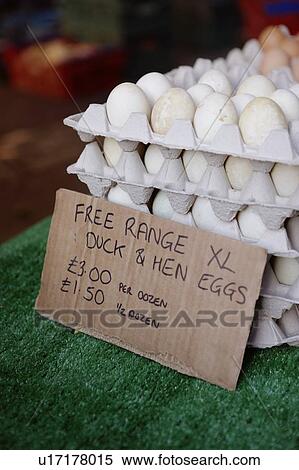 Stock Photography - Free range eggs for sale. Fotosearch