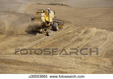 Stock Photography - Harvester at work in crop fields. Fotosearch
