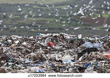 Landfill at garbage collection center View Large Photo Image Picture - Landfill at garbage collection center. Fotosearch