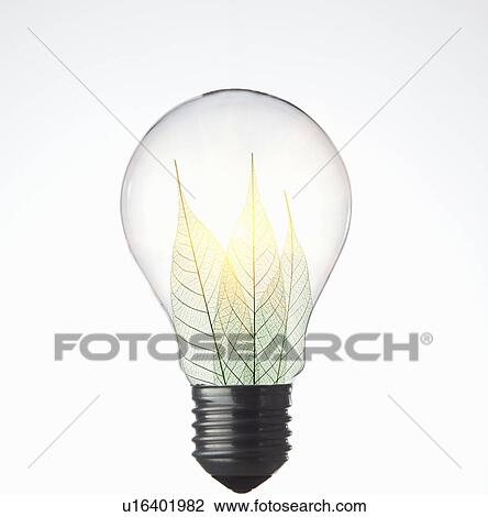 Leaves growing in light bulb View Large Photo Image Stock Image - Leaves growing in light bulb. Fotosearch
