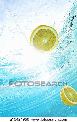 Lemons floating in swimming pool View Large Photo Image Stock Image - Lemons floating in swimming pool. Fotosearch