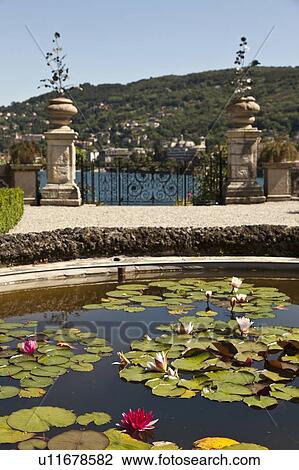 Stock Image - Lily pads in ornate fountain. Fotosearch