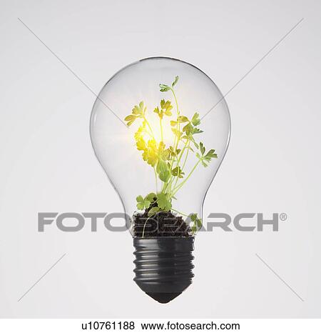 Stock Photo - Plants growing in light bulb. Fotosearch