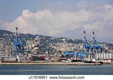 Shipping containers at dockyard View Large Photo Image Stock Image - Shipping containers at dockyard. Fotosearch