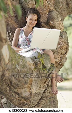 Smiling woman using laptop in tree View Large Photo Image Stock Image - Smiling woman using laptop in tree. Fotosearch