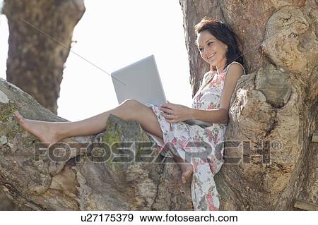Smiling woman using laptop in tree View Large Photo Image Stock Photo - Smiling woman using laptop in tree. Fotosearch