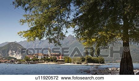 Tree overlooking castle on waterfront View Large Photo Image Stock Image - Tree overlooking castle on waterfront . Fotosearch
