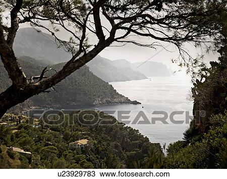 Trees on hilly rural coastline View Large Photo Image Stock Image - Trees on hilly rural coastline. Fotosearch