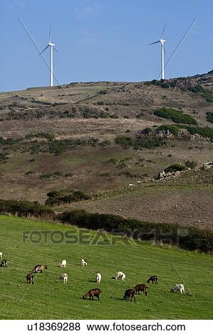 Stock Photo - Windmills overlooking rural landscape. Fotosearch
