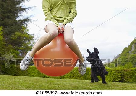 Woman on bouncy ball playing with dog View Large Photo Image Stock Image - Woman on bouncy ball playing with dog. Fotosearch