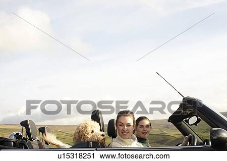 Stock Image - Women and dog driving in rural landscape. Fotosearch