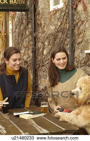 Women with dog having beer at cafe View Large Photo Image Stock Image - Women with dog having beer at cafe. Fotosearch