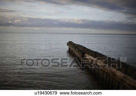 Wooden fence jutting out into lake View Large Photo Image Stock Photo - Wooden fence jutting out into lake. Fotosearch