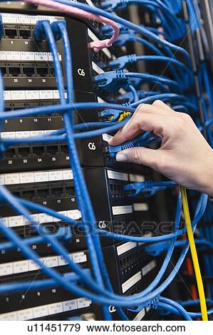 Close-up of female IT support technician repairing server View Large Photo Image Stock Photo - Close-up of female IT support technician repairing server. Fotosearch