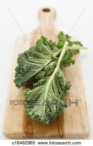 Close up of green leaf on cutting board, studio shot View Large Photo Image Stock Photography - Close up of green leaf on cutting board, studio shot. Fotosearch