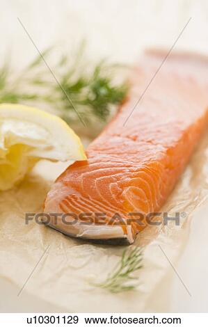 Close up of salmon meat with lemon and herb, studio shot View Large Photo Image Stock Photo - Close up of salmon meat with lemon and herb, studio shot. Fotosearch